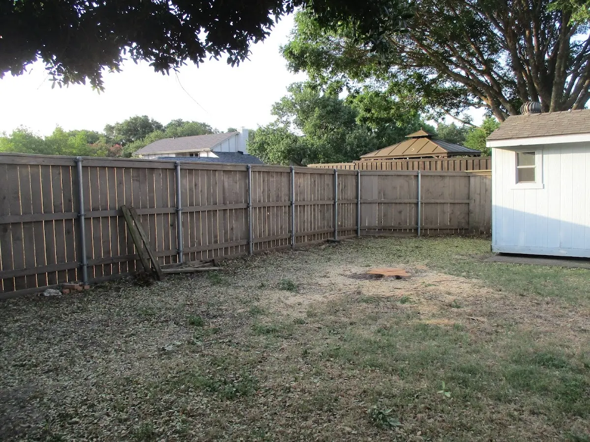 Cleared yard after professional tree removal in Newfield