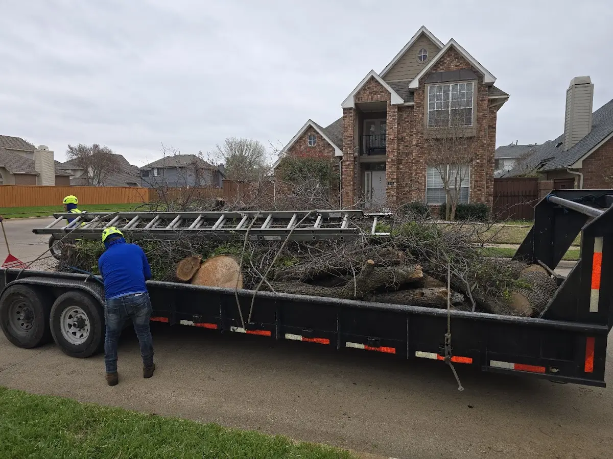 Expert Lot Clearing with proper safety equipment in Newfield